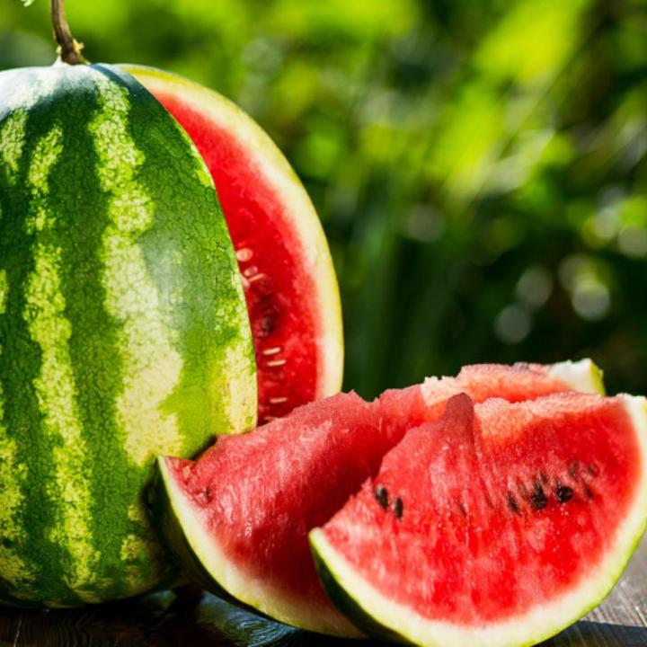 Culture et vente de différents plants de fruits.