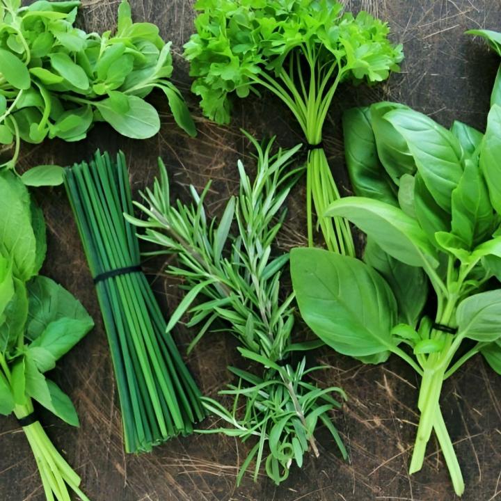 Production de plantes aromatiques.