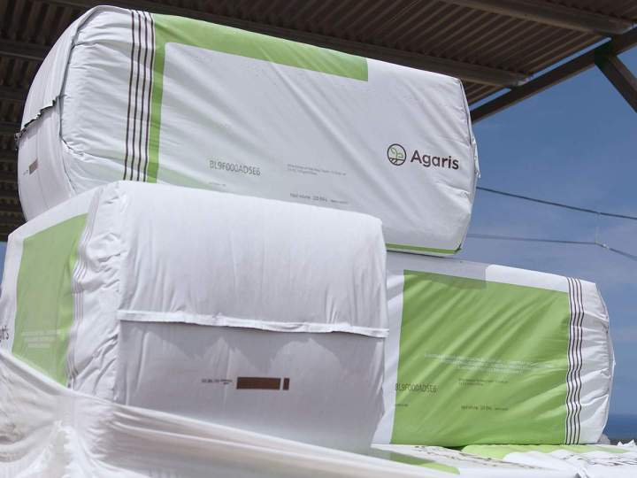 De la tourbe de coco idéale pour permettre à vos plantes de s’épanouir.